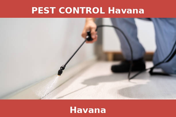 PEST CONTROL Havana